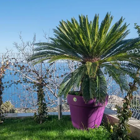 Lejlighed Confortable 30 M², Terrasse *